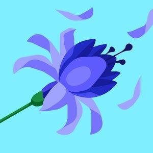 Meet your Posher, Blossom